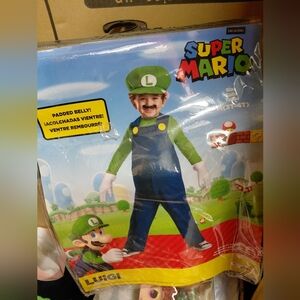 Super mario Luigi Costume
